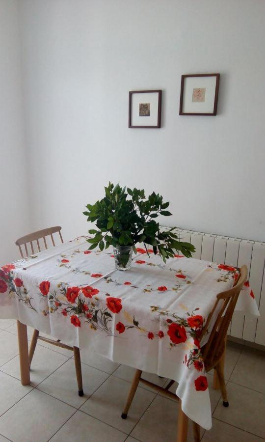 Apartment Elinor 2 Rovigno Esterno foto