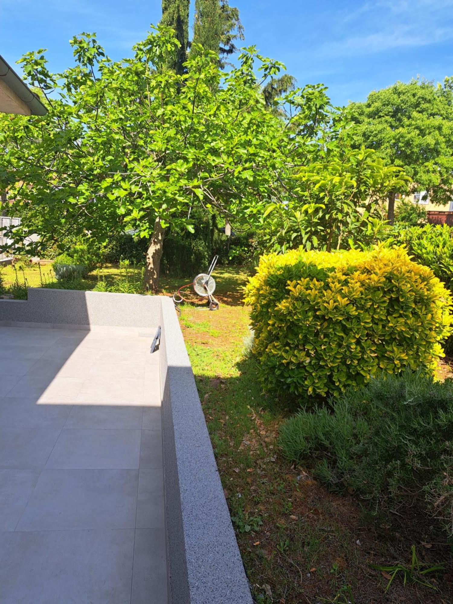 Apartment Elinor 2 Rovigno Esterno foto